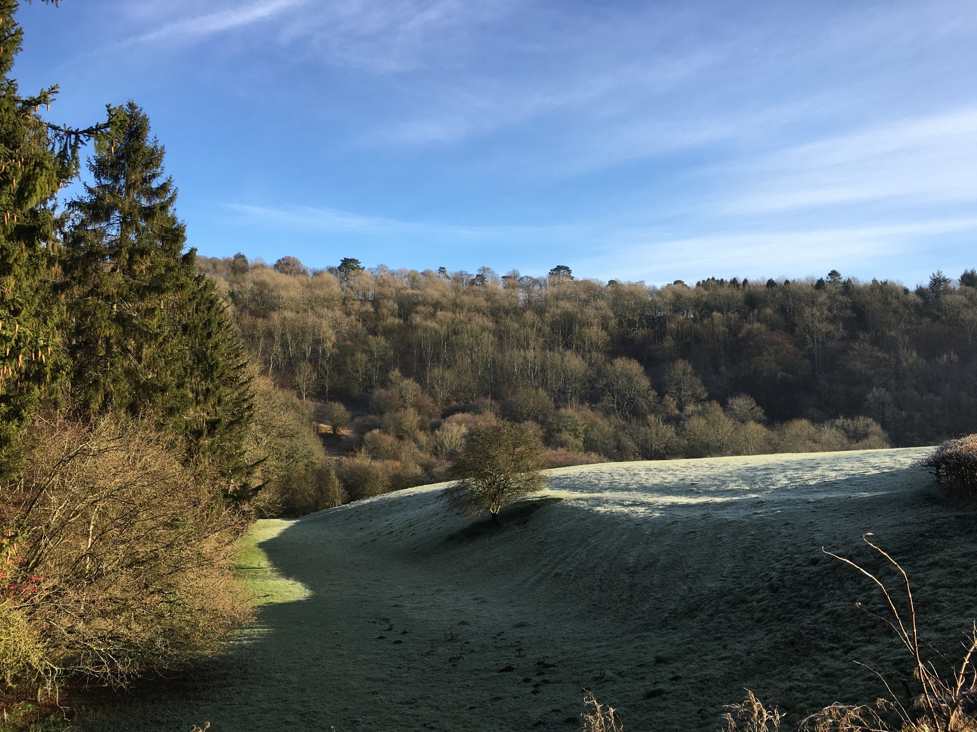 winter Cotswold valley frost