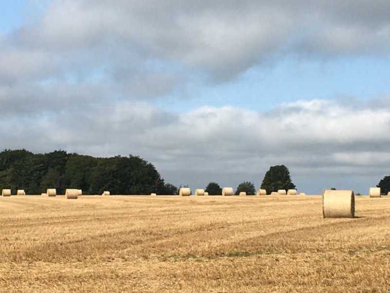 Hay bales Cotswolds