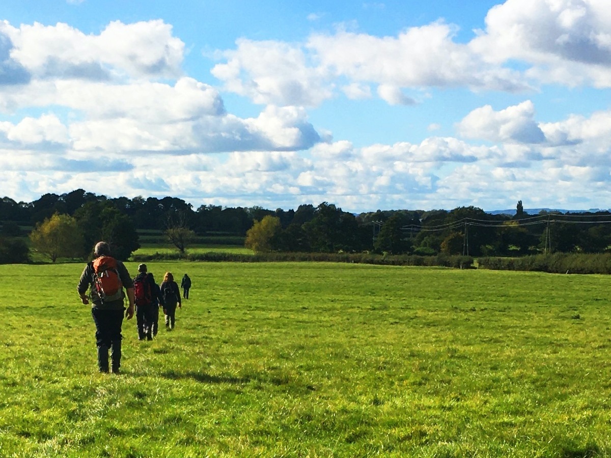 Cotswold walks and tours
